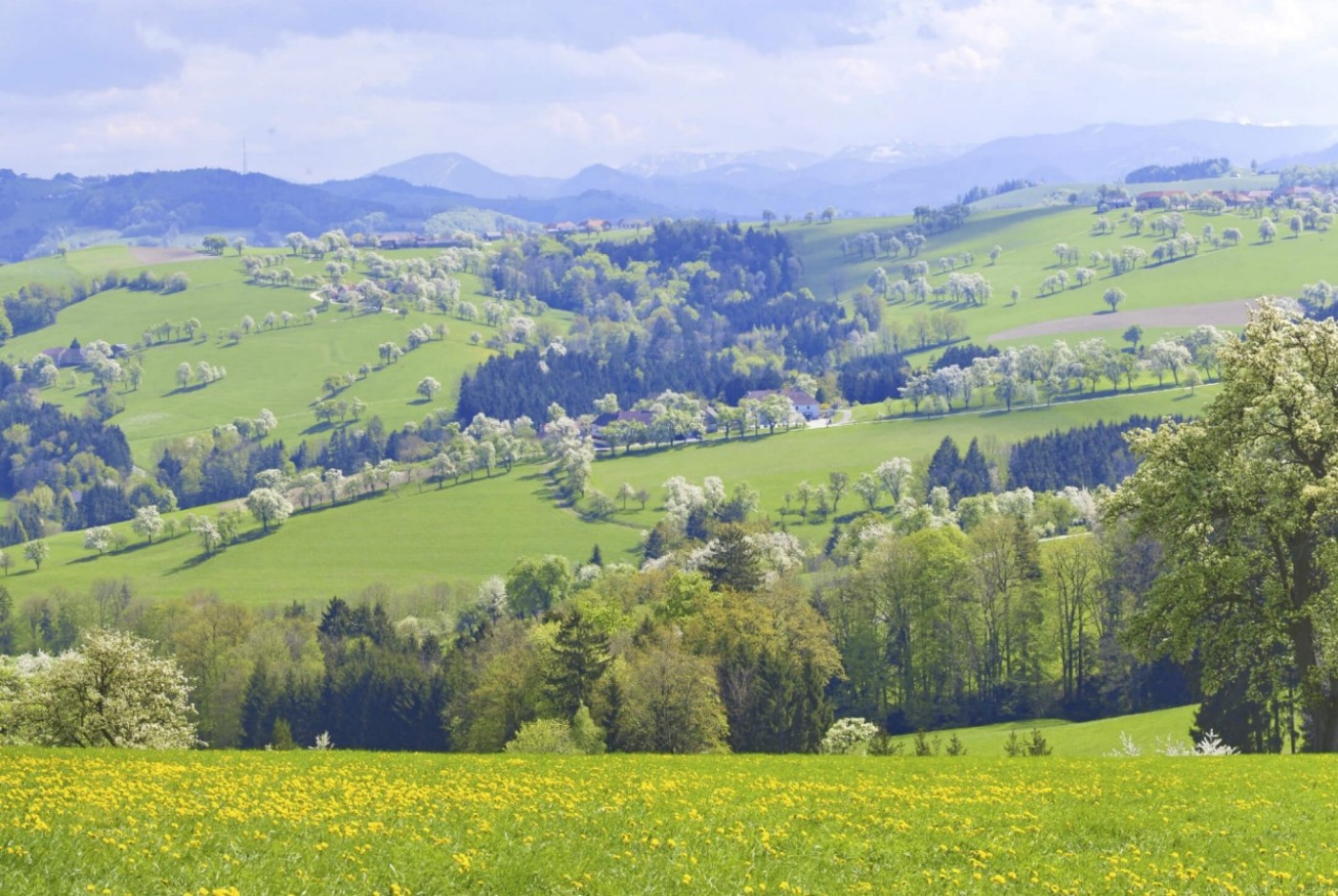 Landschaft Ybbstal